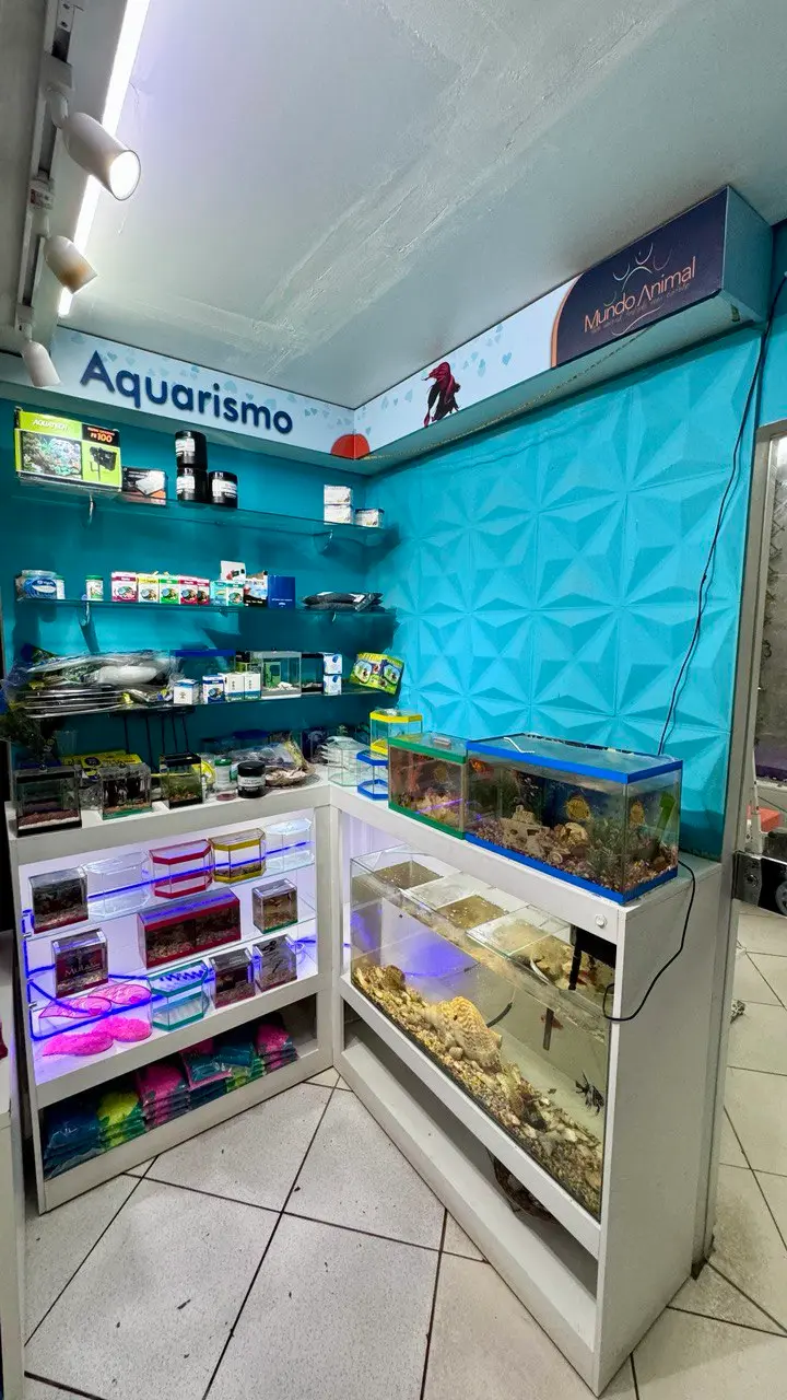 Area de aquarismo da Mundo Animal com aquarios e acessorios